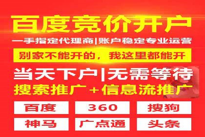 搜索引擎营销（SEM）的投放策略与效果评估——以某行业领先企业的案例分析